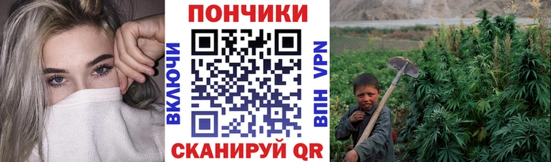 Купить наркотики цена Тогучин ссылка на мегу ссылки  Каннабис  COCAIN  Мефедрон  Гашиш 