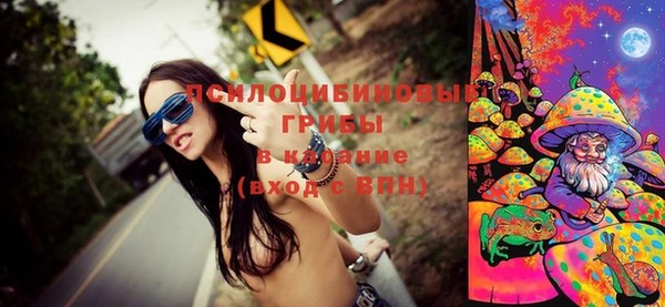 бошки Белокуриха