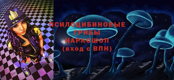 a pvp Богданович