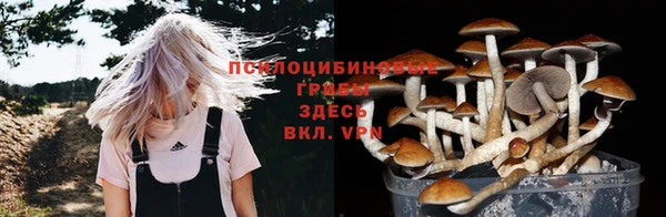 a pvp Богданович
