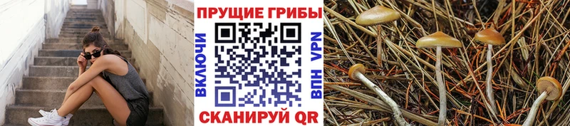 Псилоцибиновые грибы MAGIC MUSHROOMS  Тогучин 